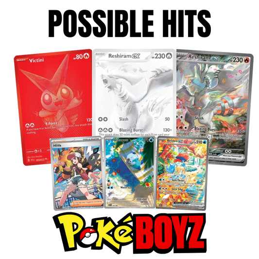 White Flare Binder Collection image 1